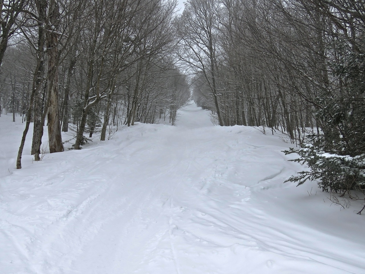 www.Tremblant360.com Photo. All rights reserved.