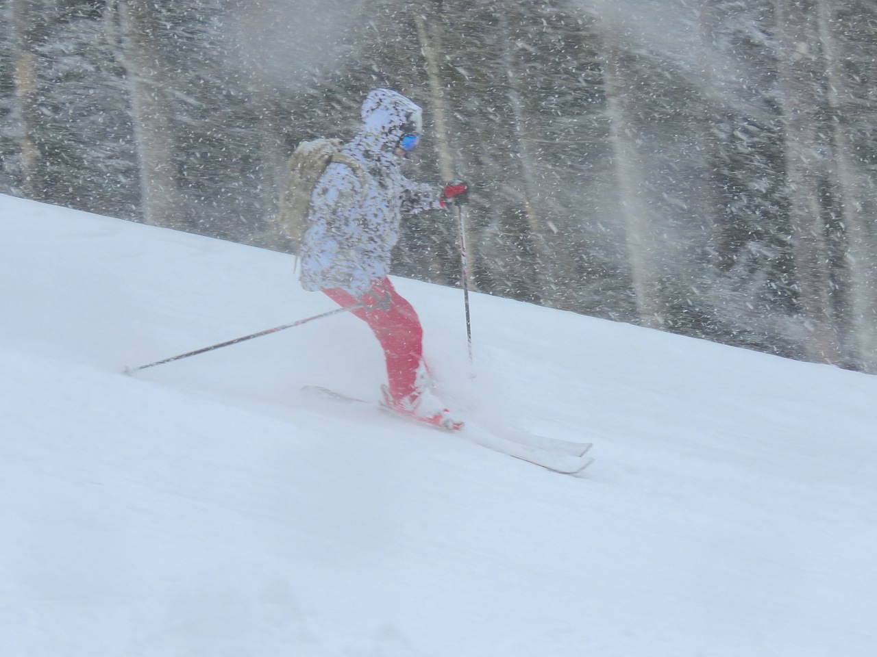 2.28.18.McCulloch.Haut.Upper.Pitch.Left.Side.Descent.Line.Views.HUGE.Snowfall.c.jpg