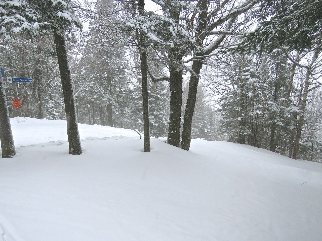 www.Tremblant360.com photo. All rights reserved.