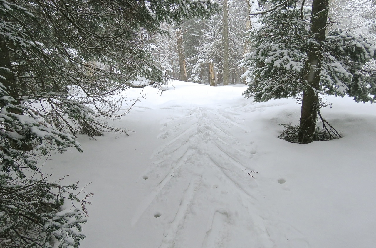 www.Tremblant360.com Photo. All rights reserved.