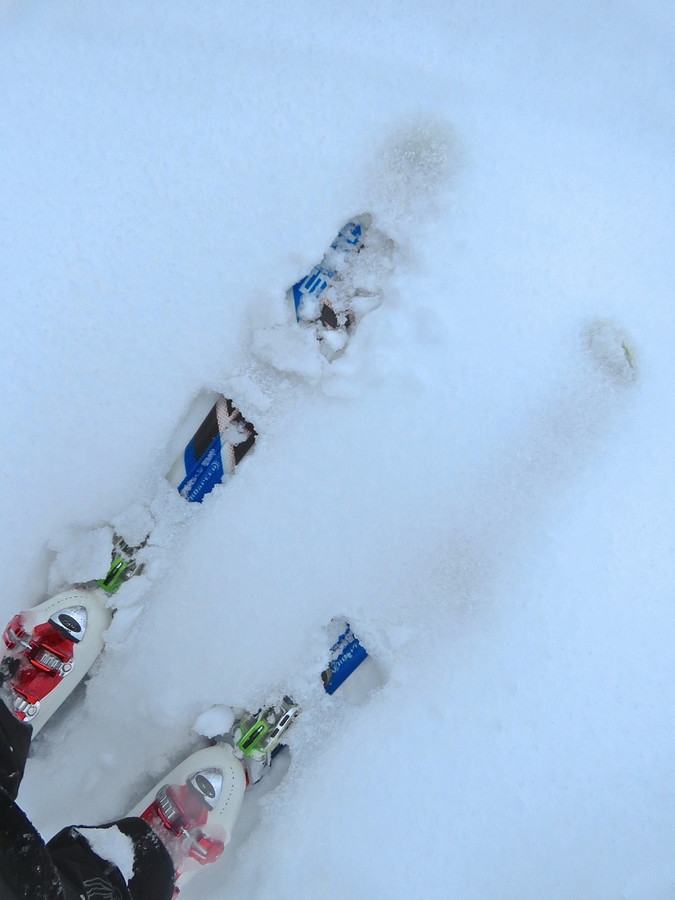 www.Tremblant360.com photo. All rights reserved.