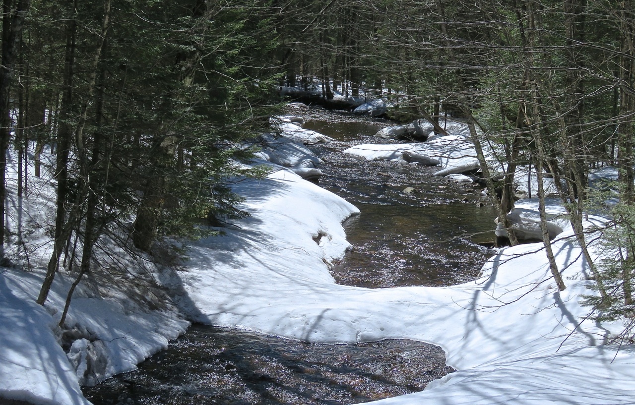 www.Tremblant360.com photo. All rights reserved.