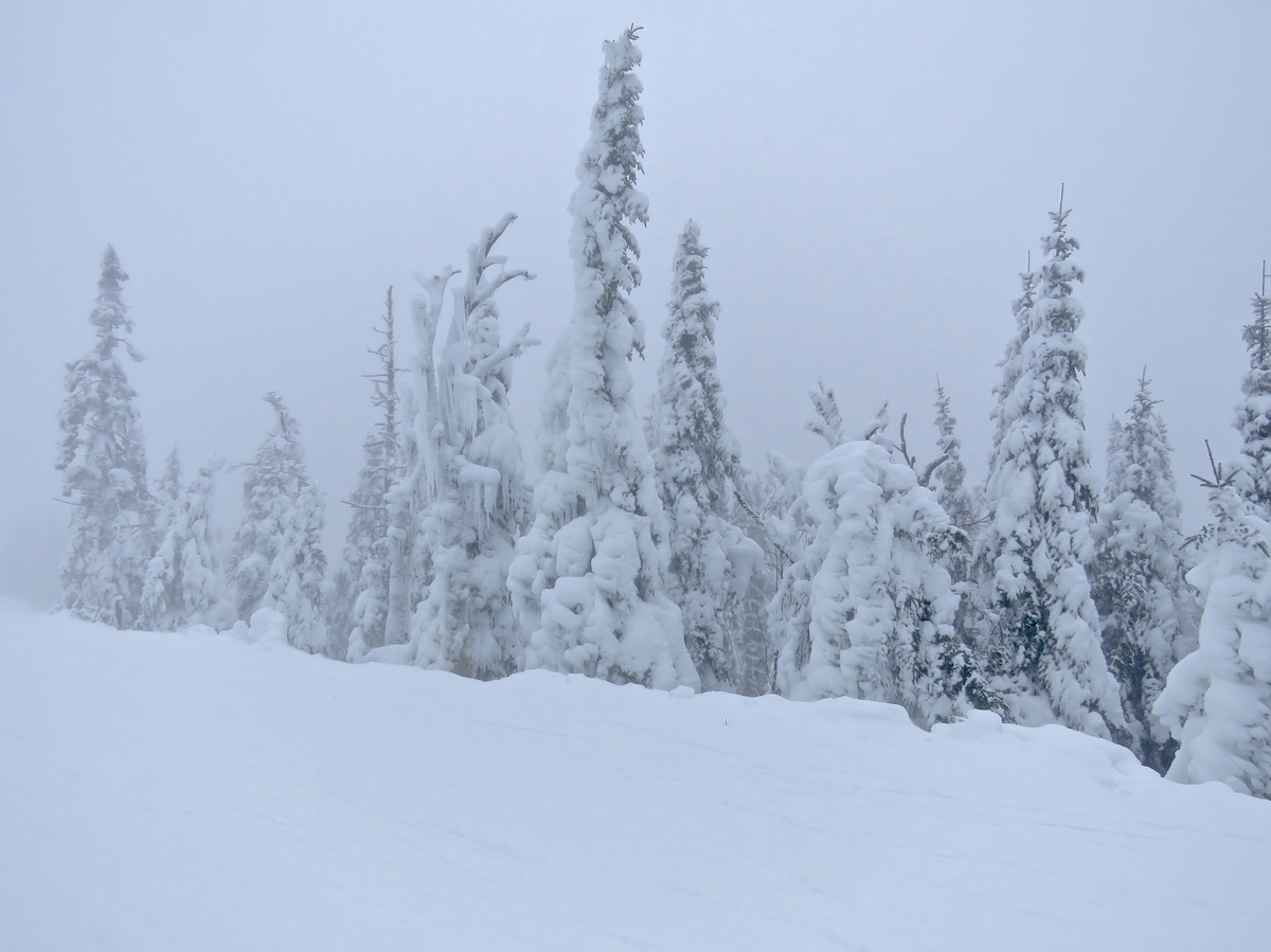 www.Tremblant360.com photo. All rights reserved.