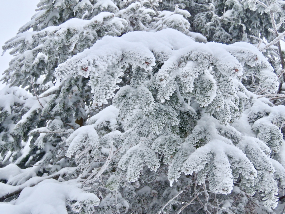 www.Tremblant360.com Photo. All Rights Reserved.