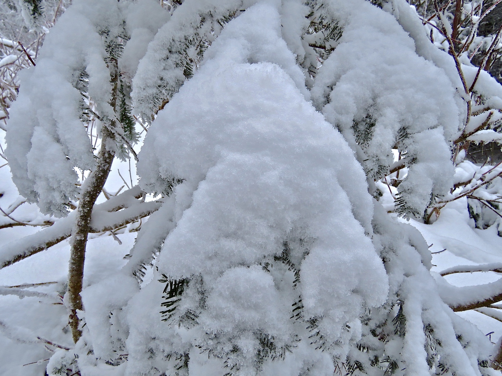 www.Tremblant360.com Photo. All Rights Reserved.