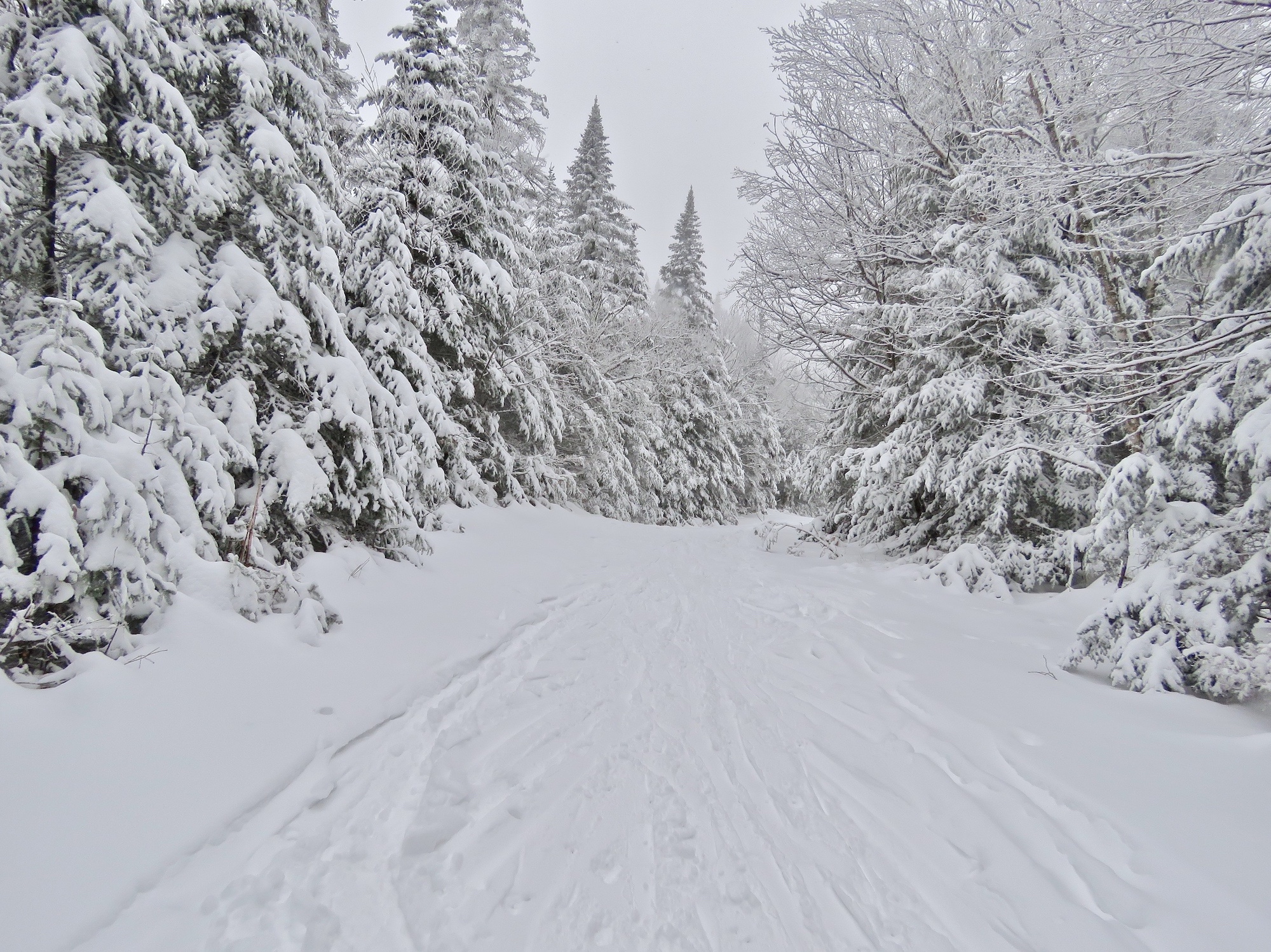 www.Tremblant360.com Photo. All Rights Reserved.