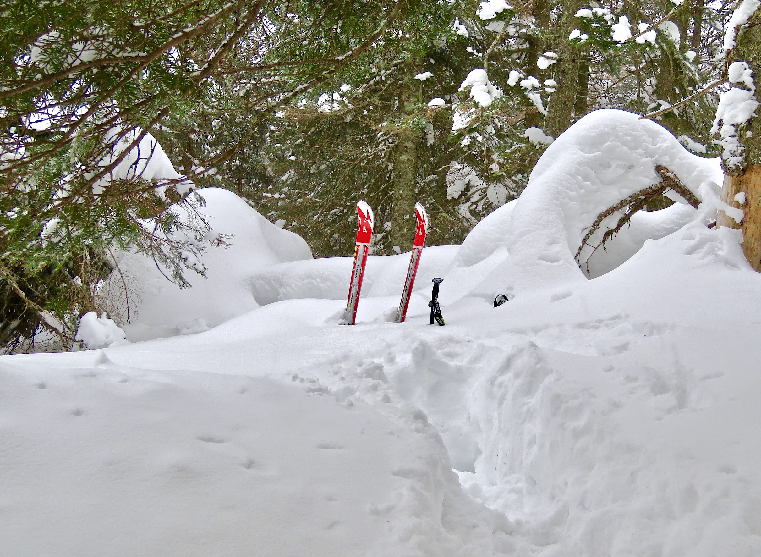 www.Tremblant360.com Photo. All Rights Reserved.