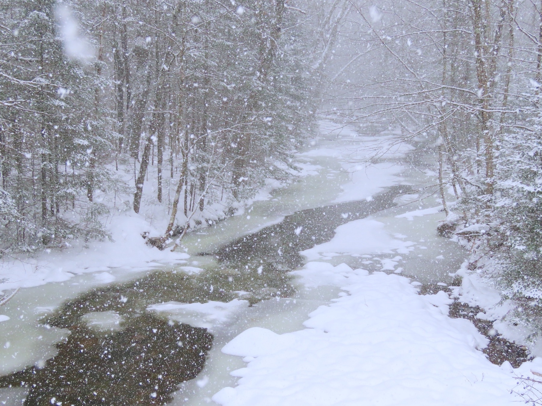 www.Tremblant360.com Photo. All Rights Reserved.