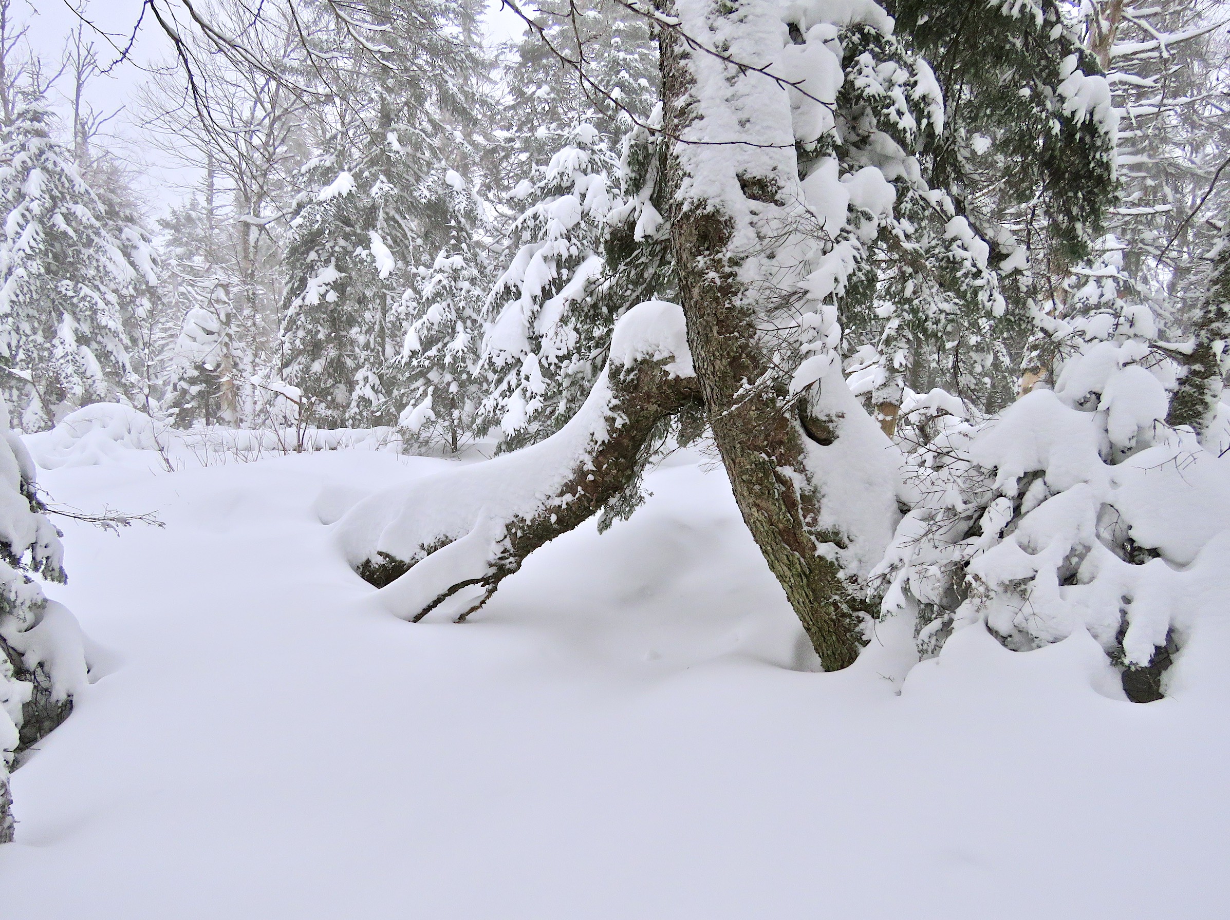 www.Tremblant360 photo. All rights reserved.