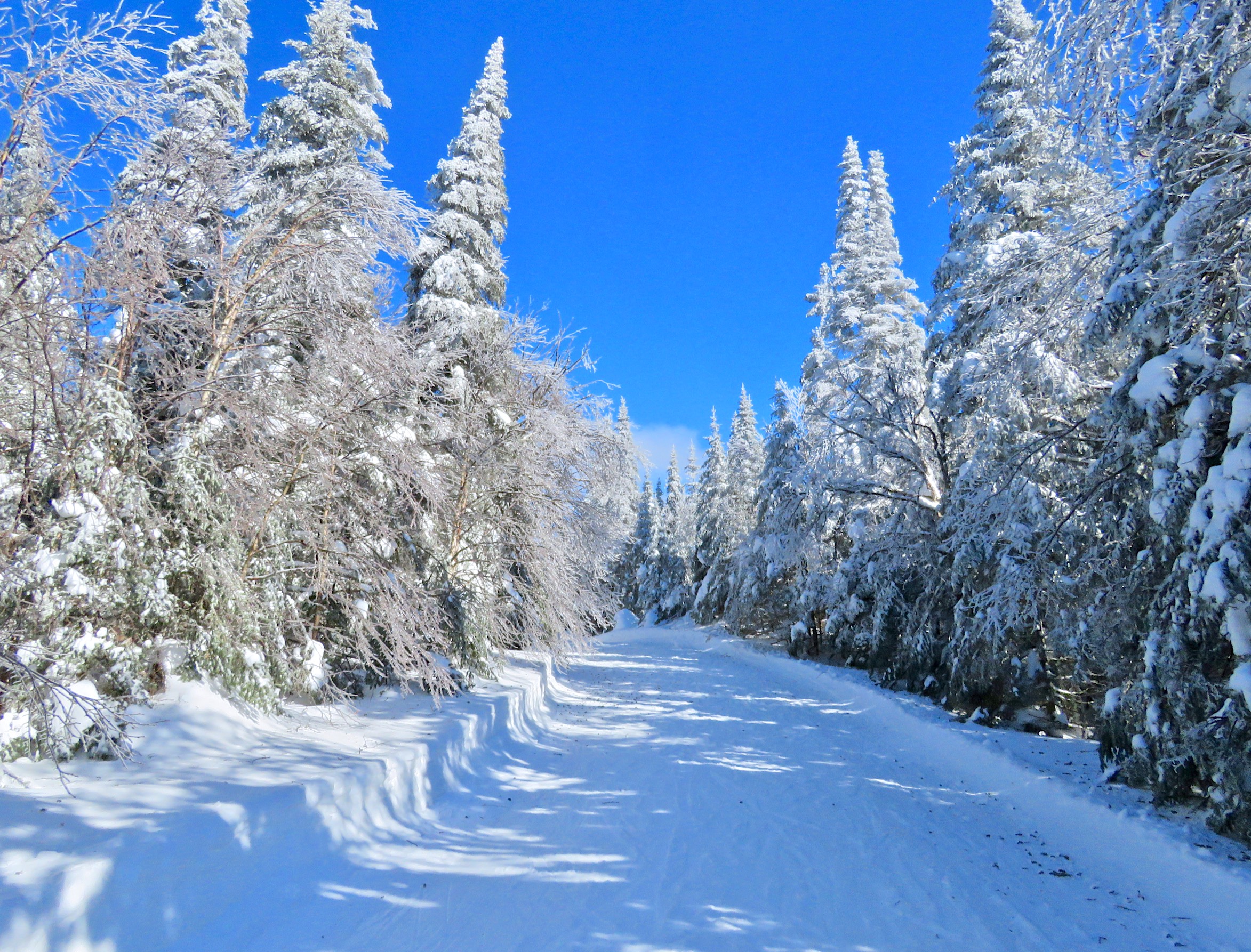 www.Tremblant360 photo. All rights reserved.