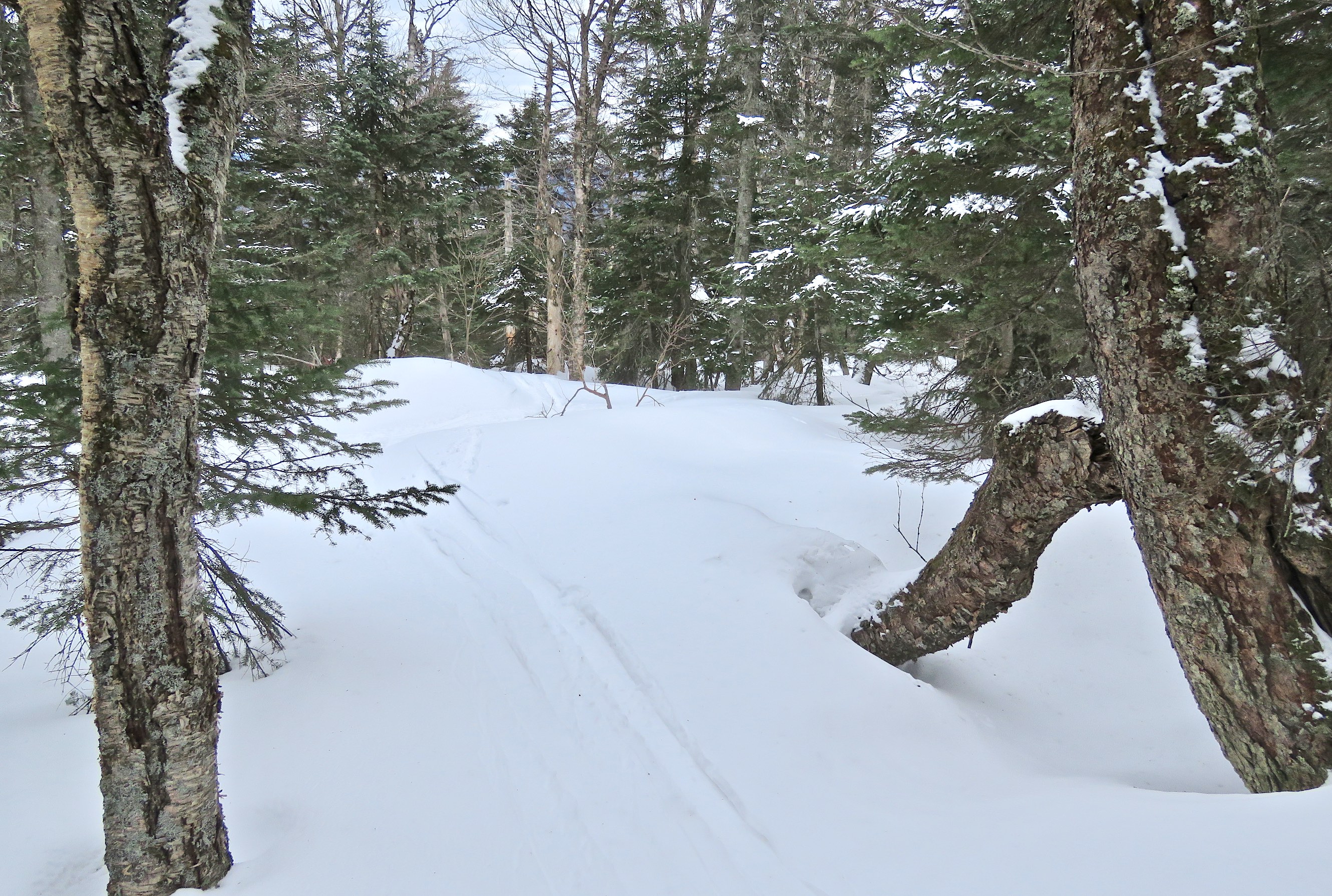 www.Tremblant360.com photo. All rights reserved.