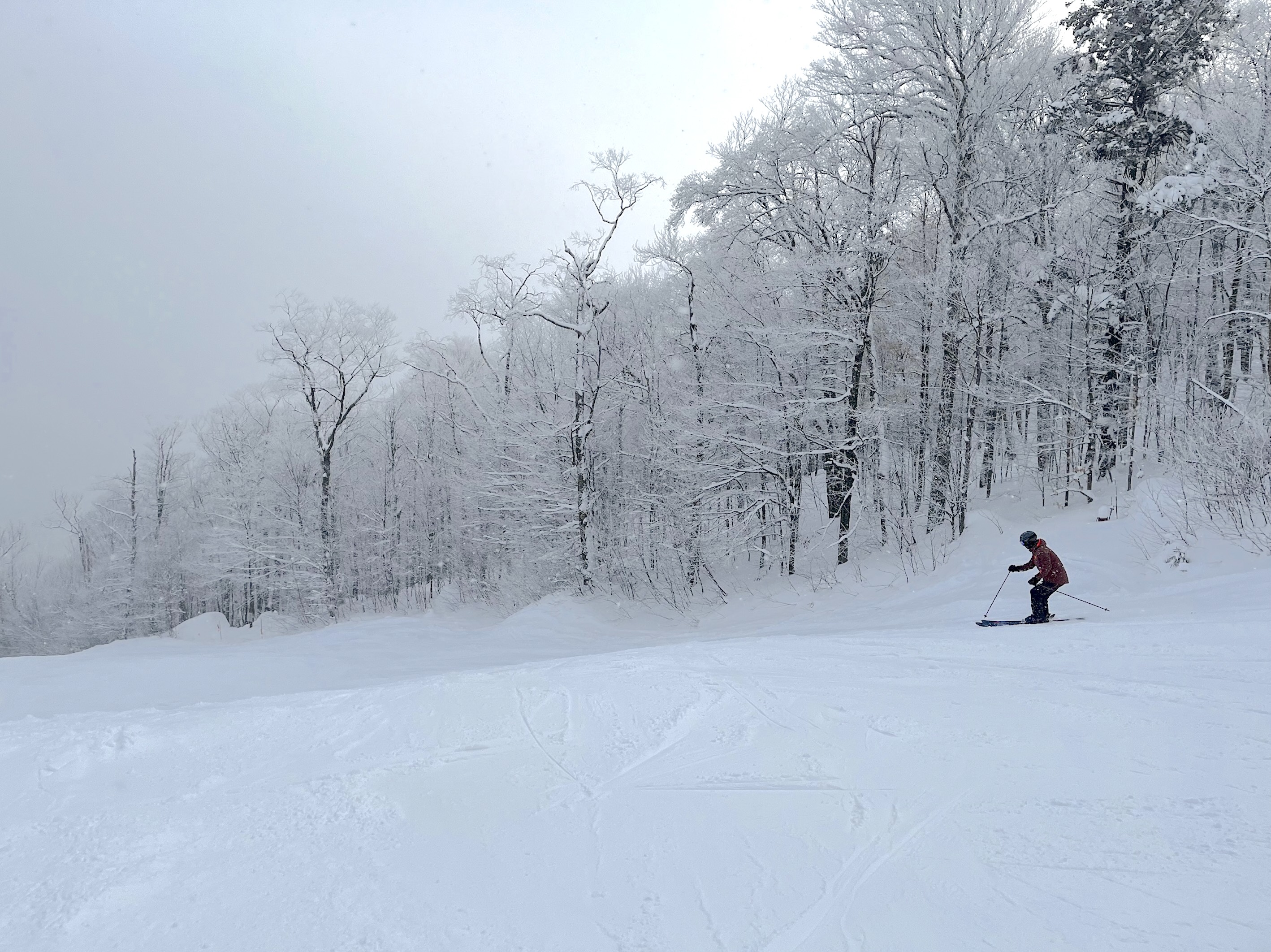 1.17.24.Nord.North.LaGriffe.Well.Groomed.Nicely.Snow.Covered.a.jpg