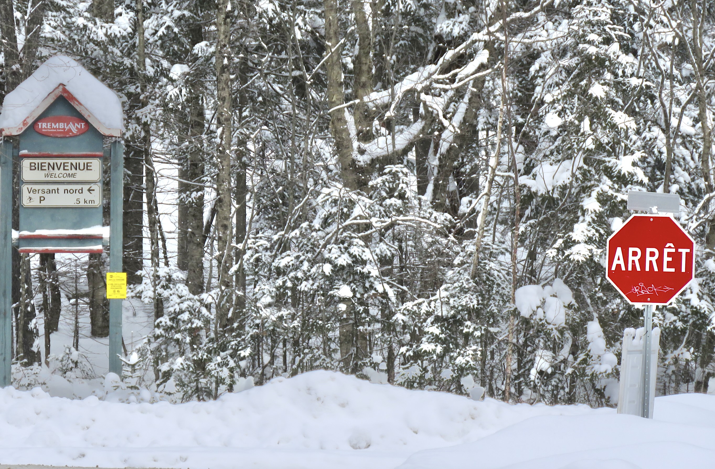 www.Tremblant360.com photo. All rights reserved.