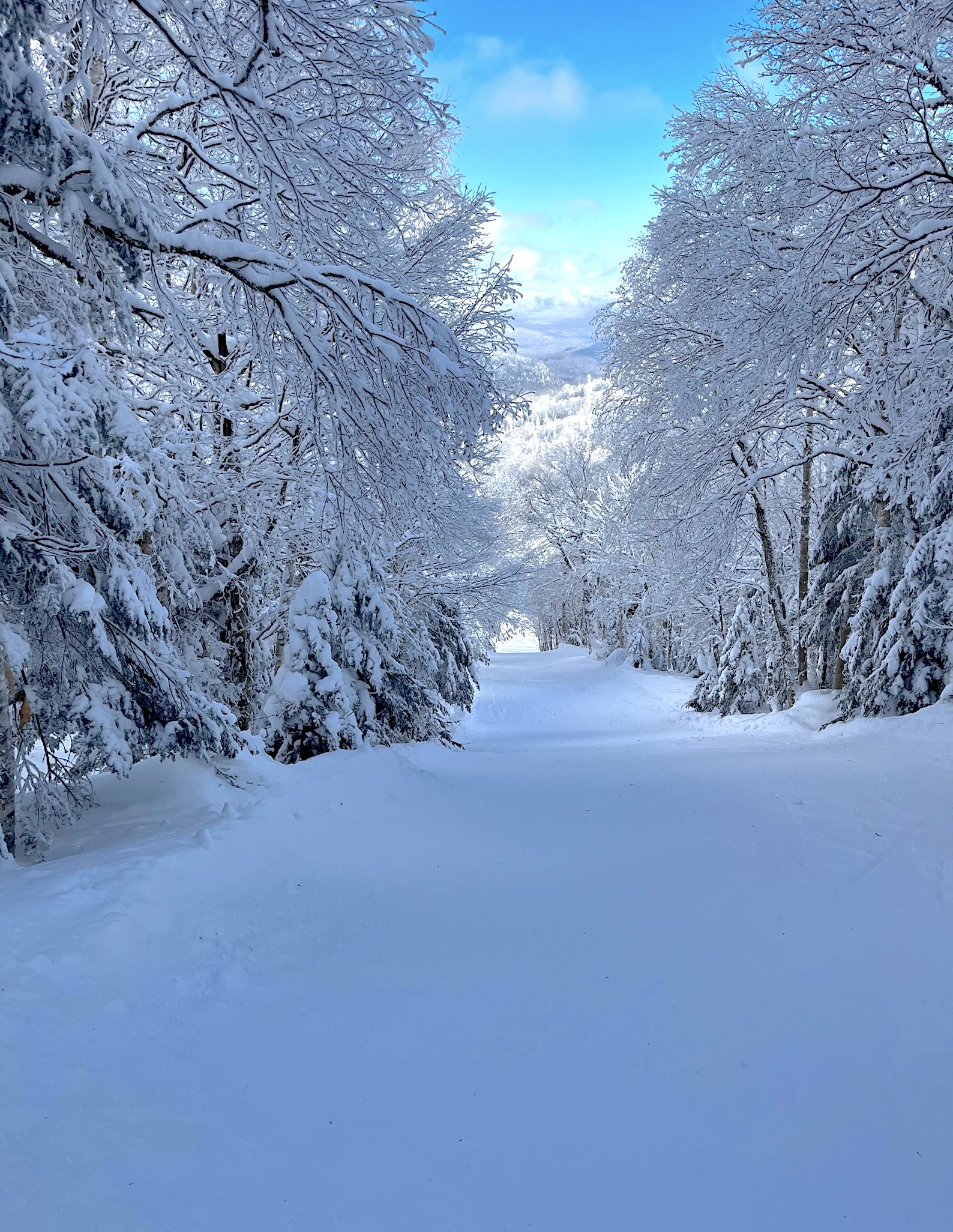 www.Tremblant360.com photo. All rights reserved.