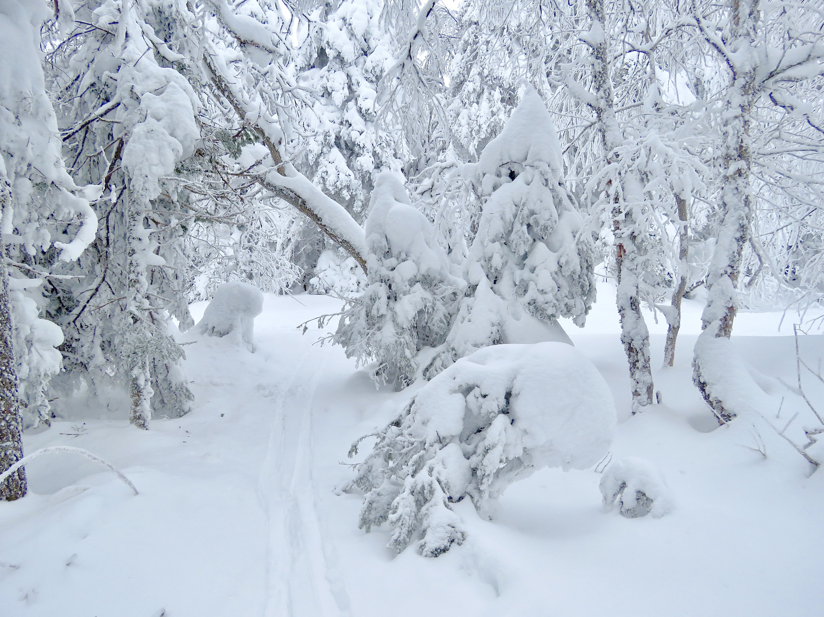 www.Tremblant360.com photo. All rights reserved.