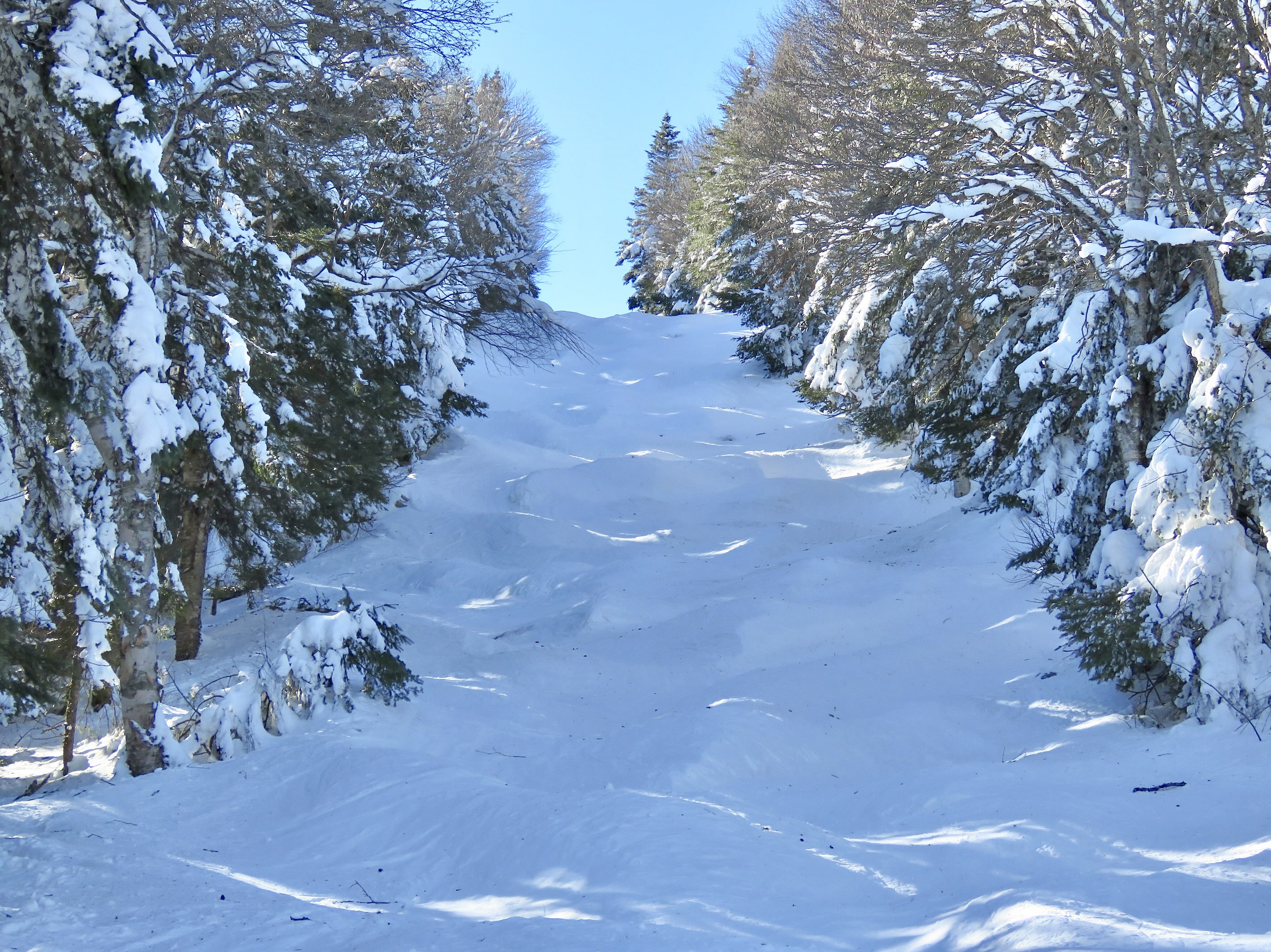 www.Tremblant360.com photo. All rights reserved.