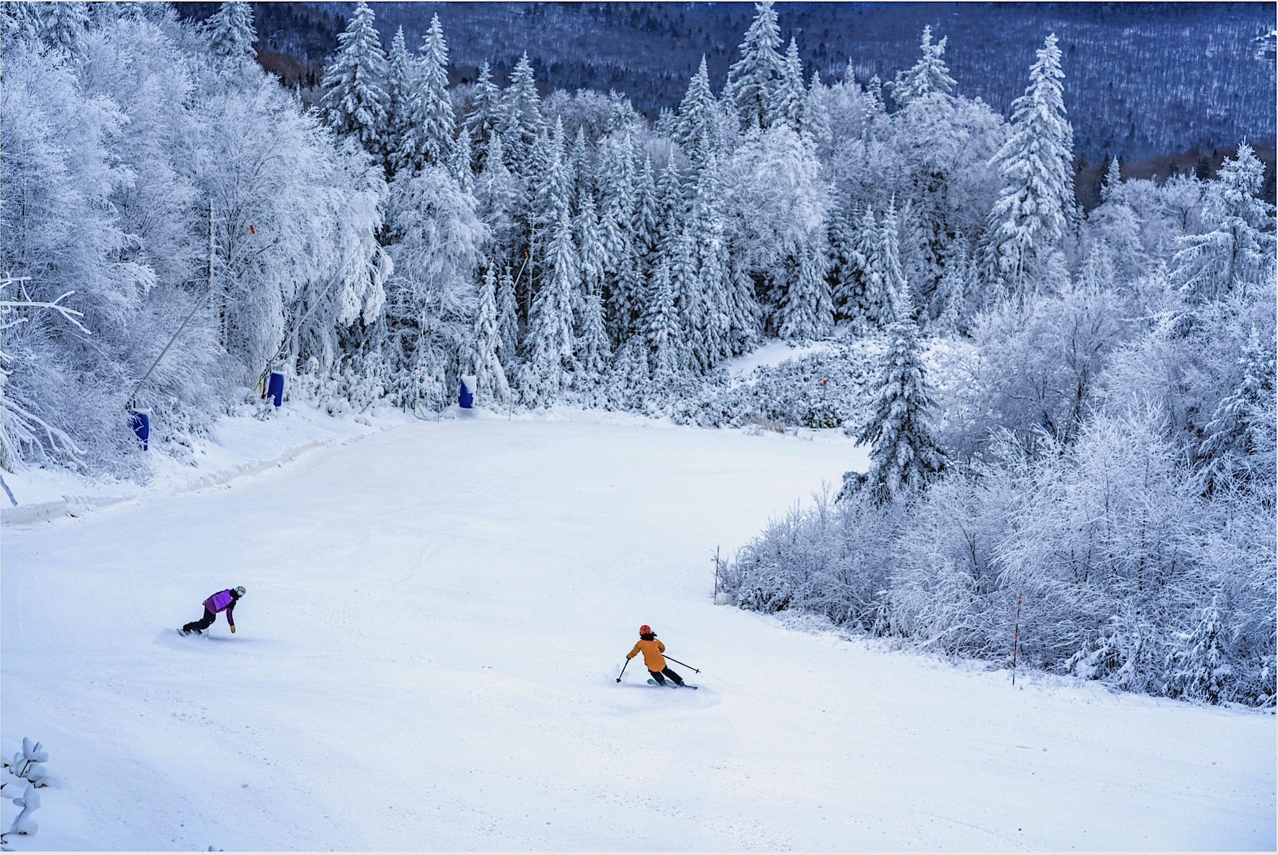 11.28.24.Tremblant.Shareable.Social.Media.Pic.Nord.North.Ptit.Bonheur.c.jpg