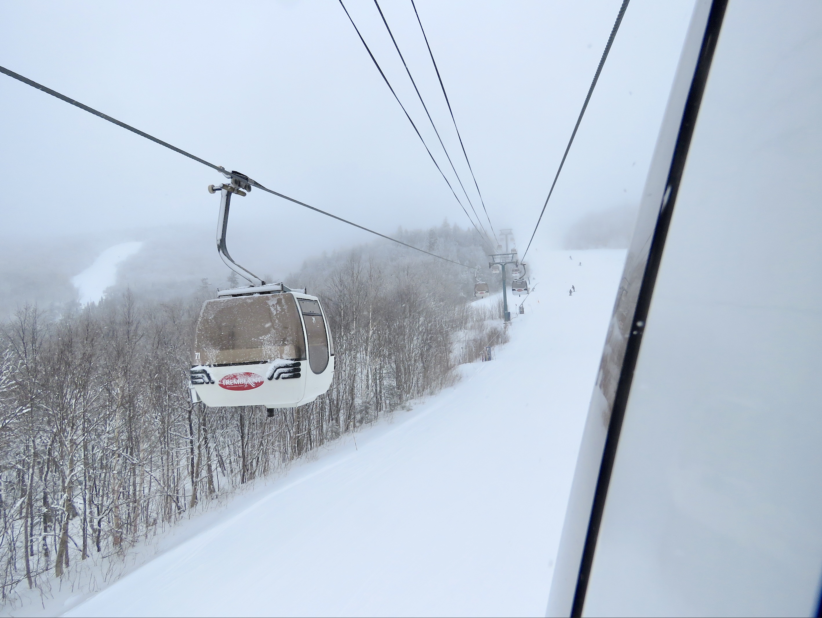 1.3.25.Gondola.Views.Up.Over.Dessarres.c.jpg