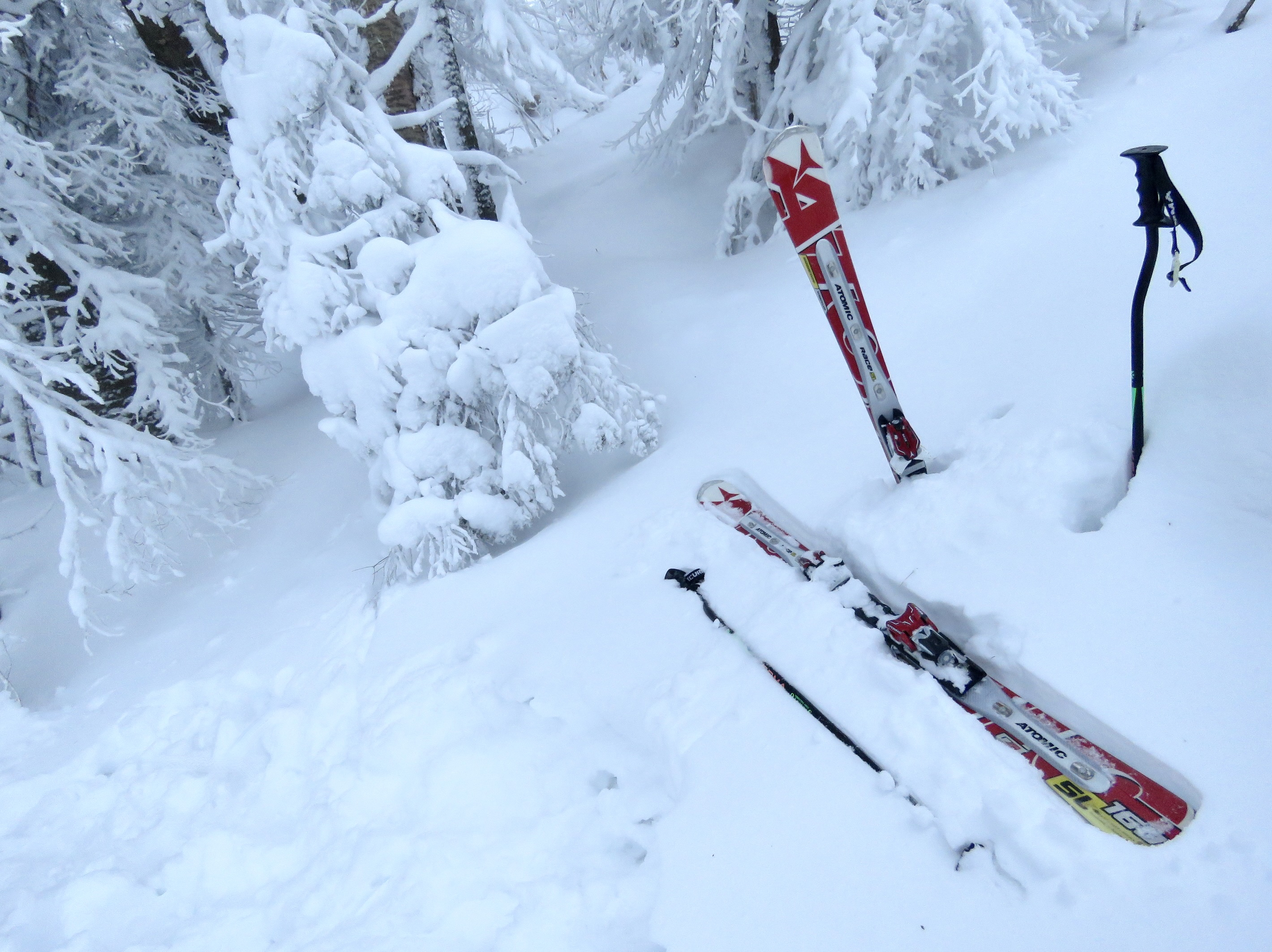 1.6.25.Nord.North.Sous.Bois.Proof.Of.Snow.Sample.b.jpg