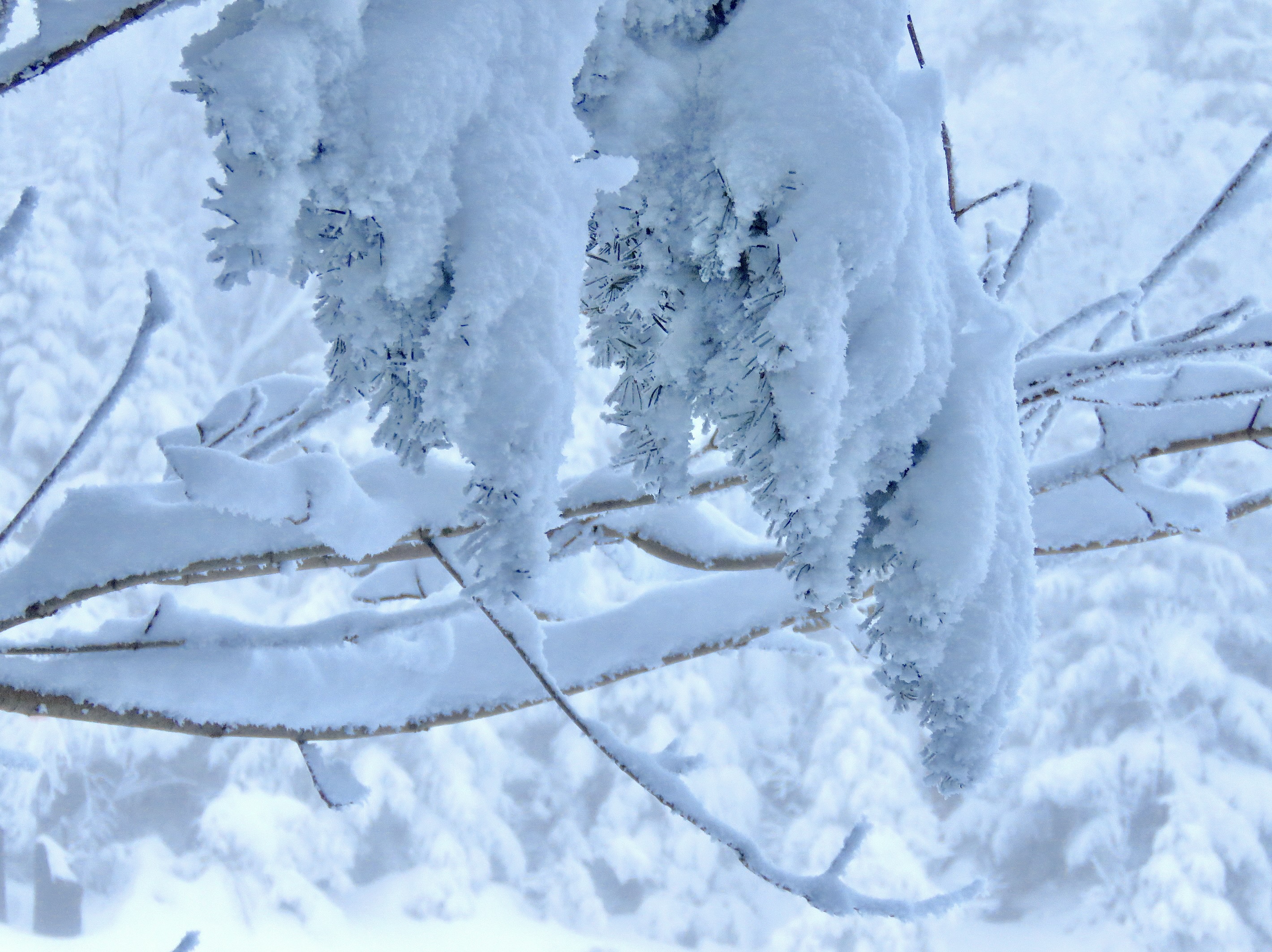 1.6.25.Nord.North.Ptit.Bonheur.Lee.Side.Super.Cool.Snow.Quality.Detail.d.jpg