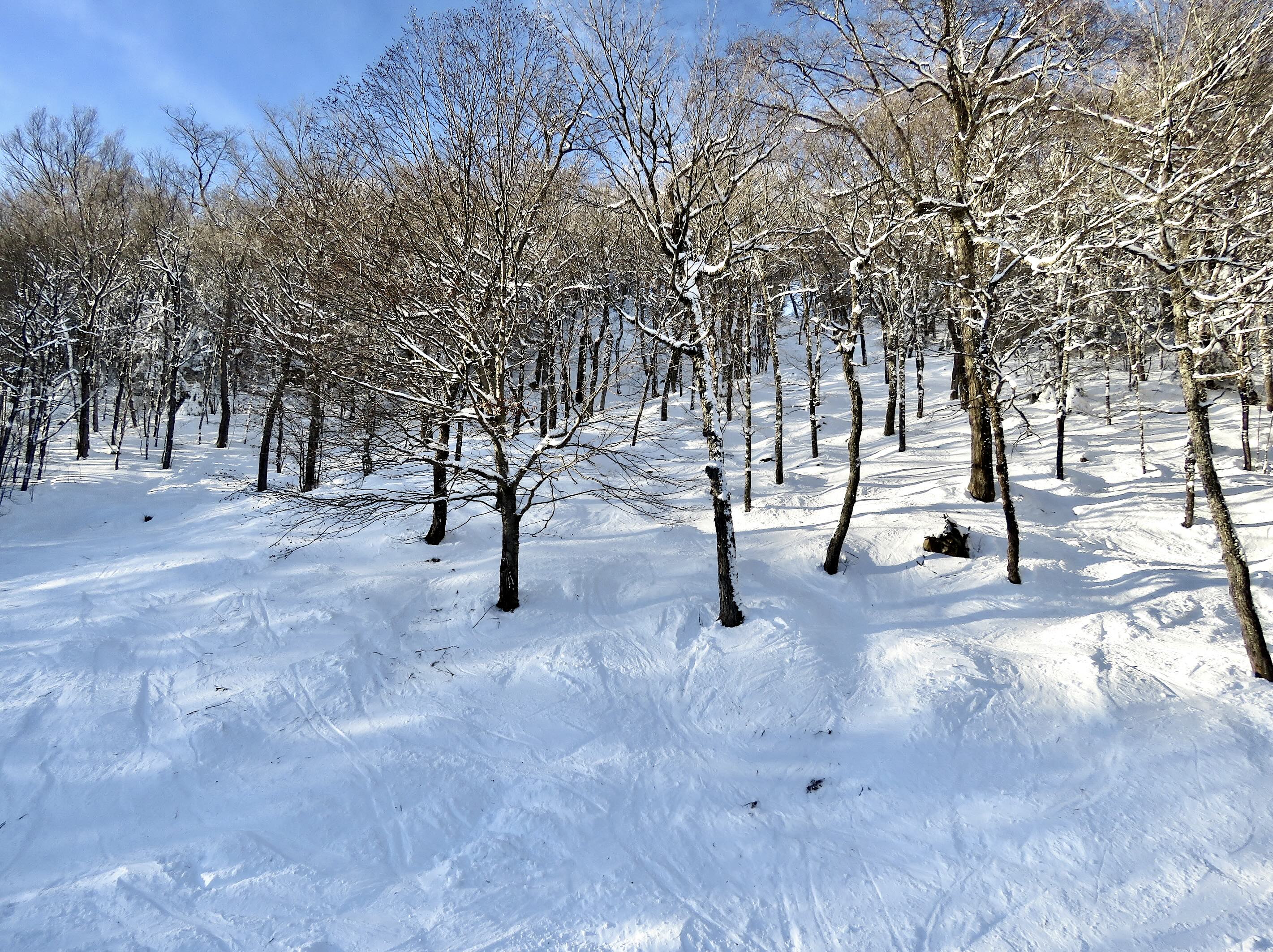 1.10.25.Nord.North.Duncan.Quad.Views.Expo.Vanier.Sector.Buzz.e.jpg