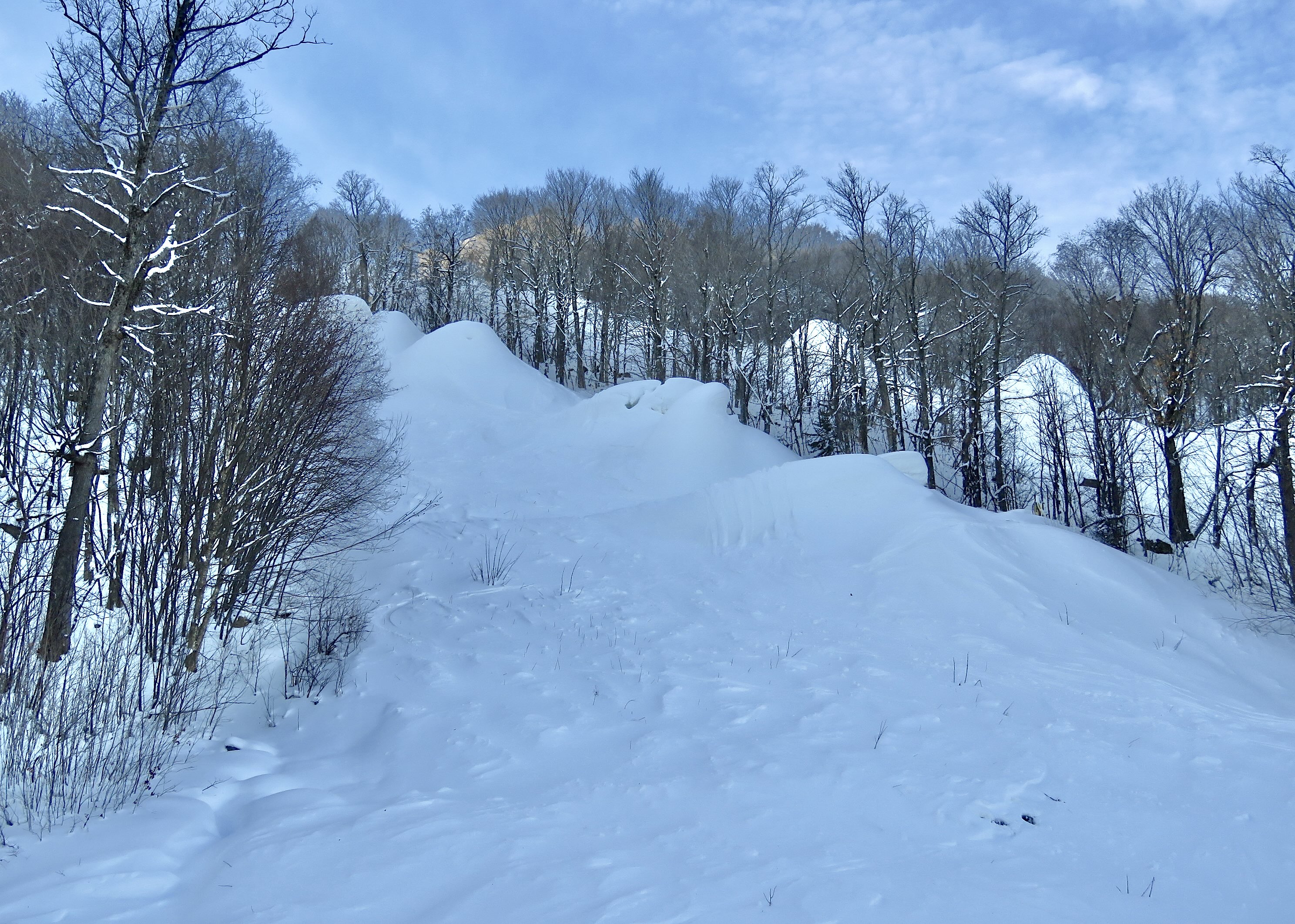 1.10.25.Duncan.Quad.Views.Cossak.Big.Bumps.Before.d.jpg