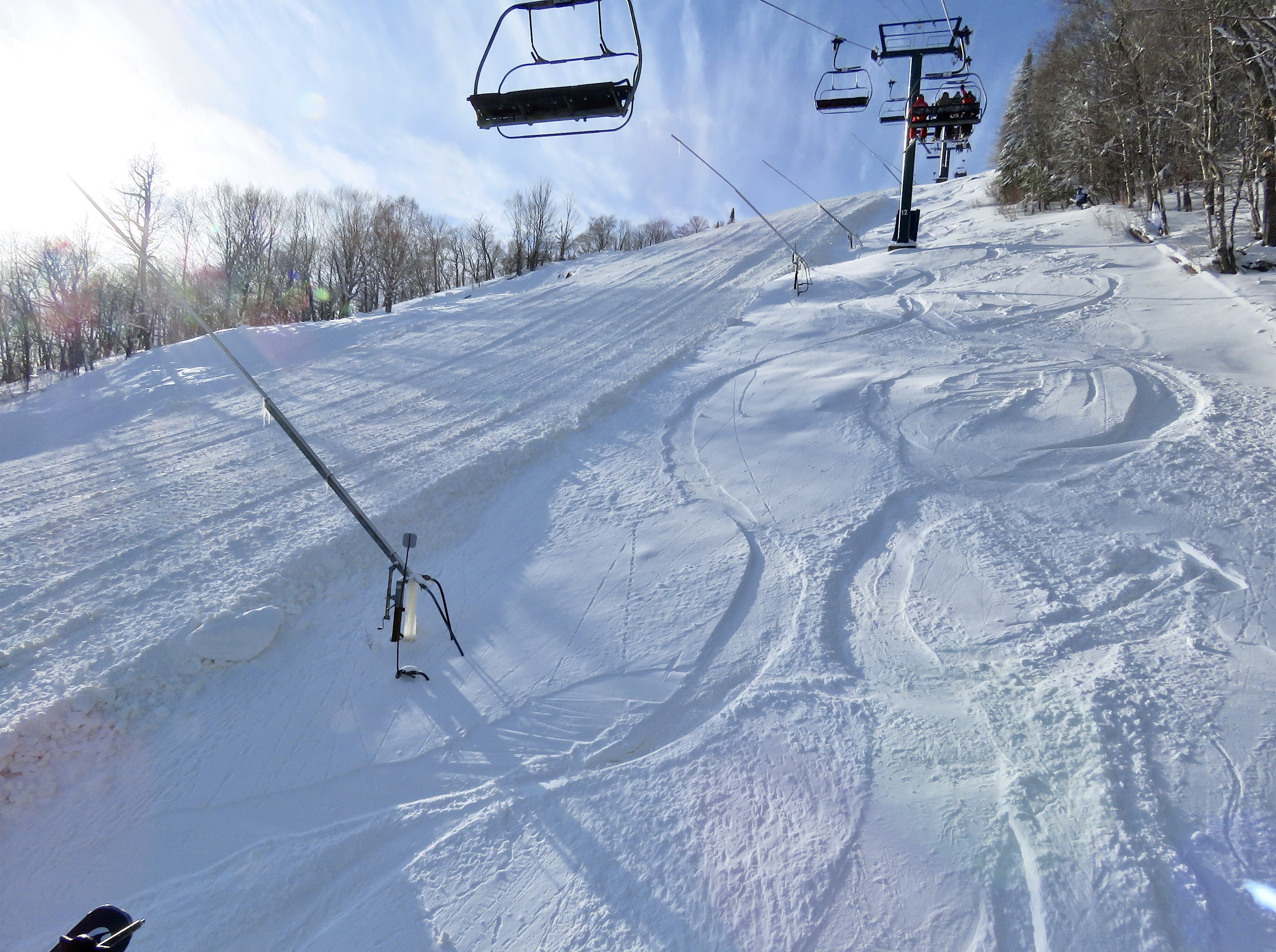 1.12.25.Expo.Quad.Views.Expo.Pitch.Rough.Cut.Grooming.d.jpg