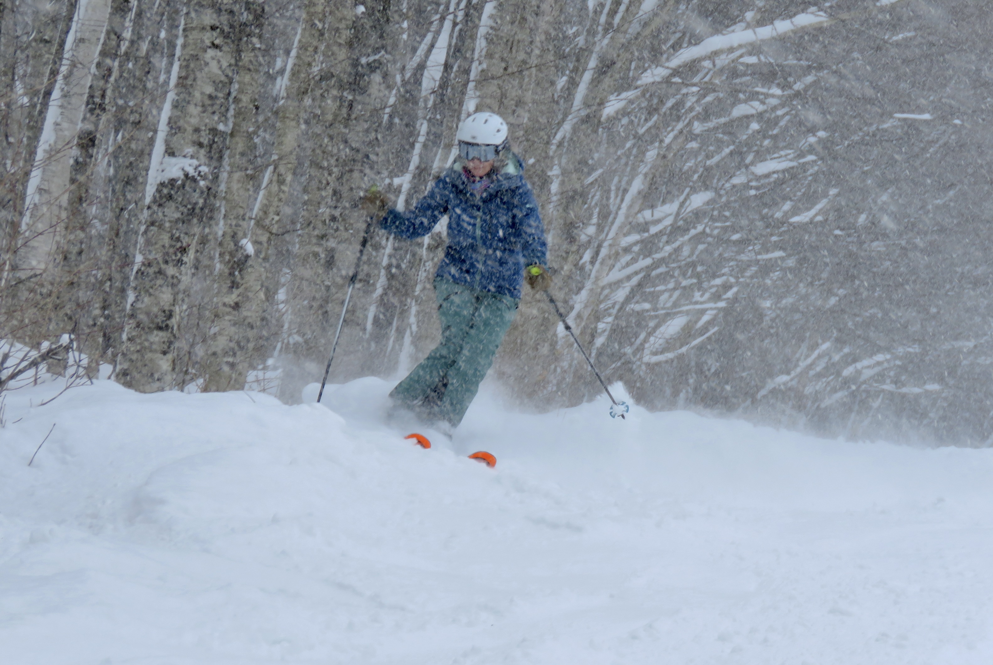 1.14.25.Duncan.Bas.Lower.Fresh.Snow.Powder.Lines.d.jpg