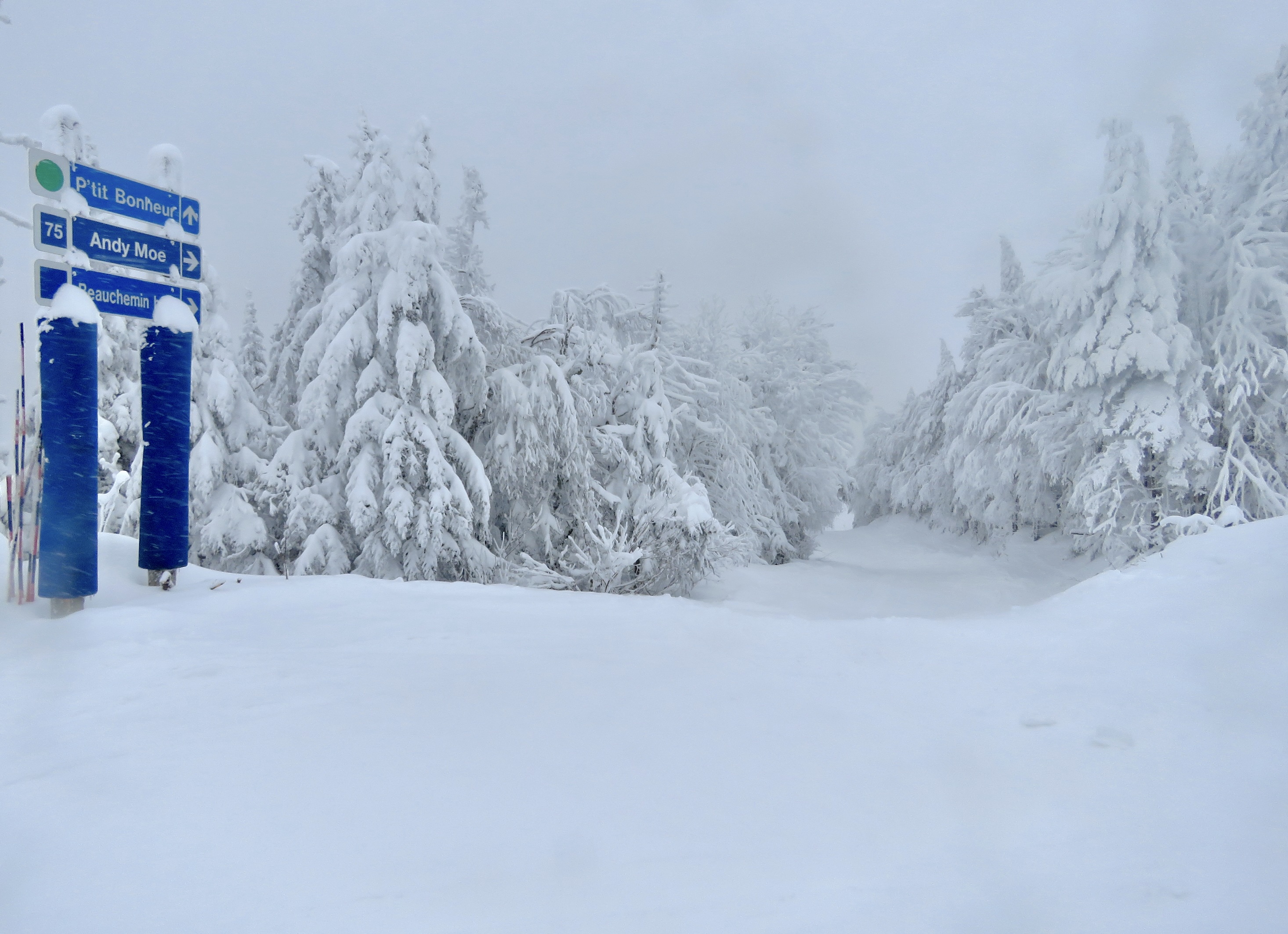 1.14.25.Nord.North.Andy.Moe.Signs.Of.Great.Skiing.d.jpg