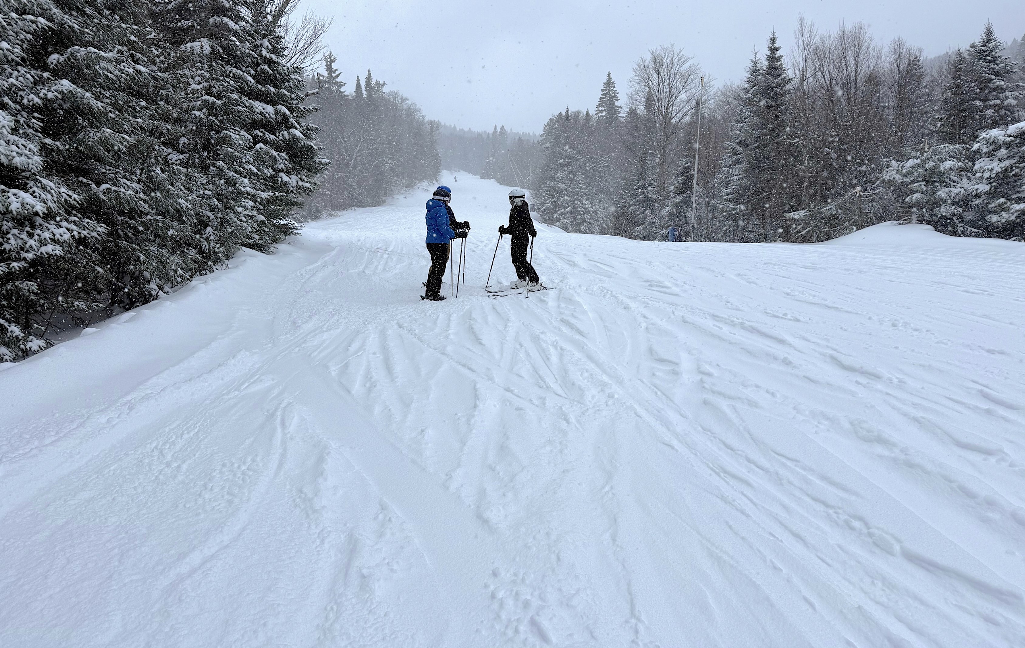 3.22.26.Nord.North.Ptit.Bonheur.Powder.Tracks.d.jpg