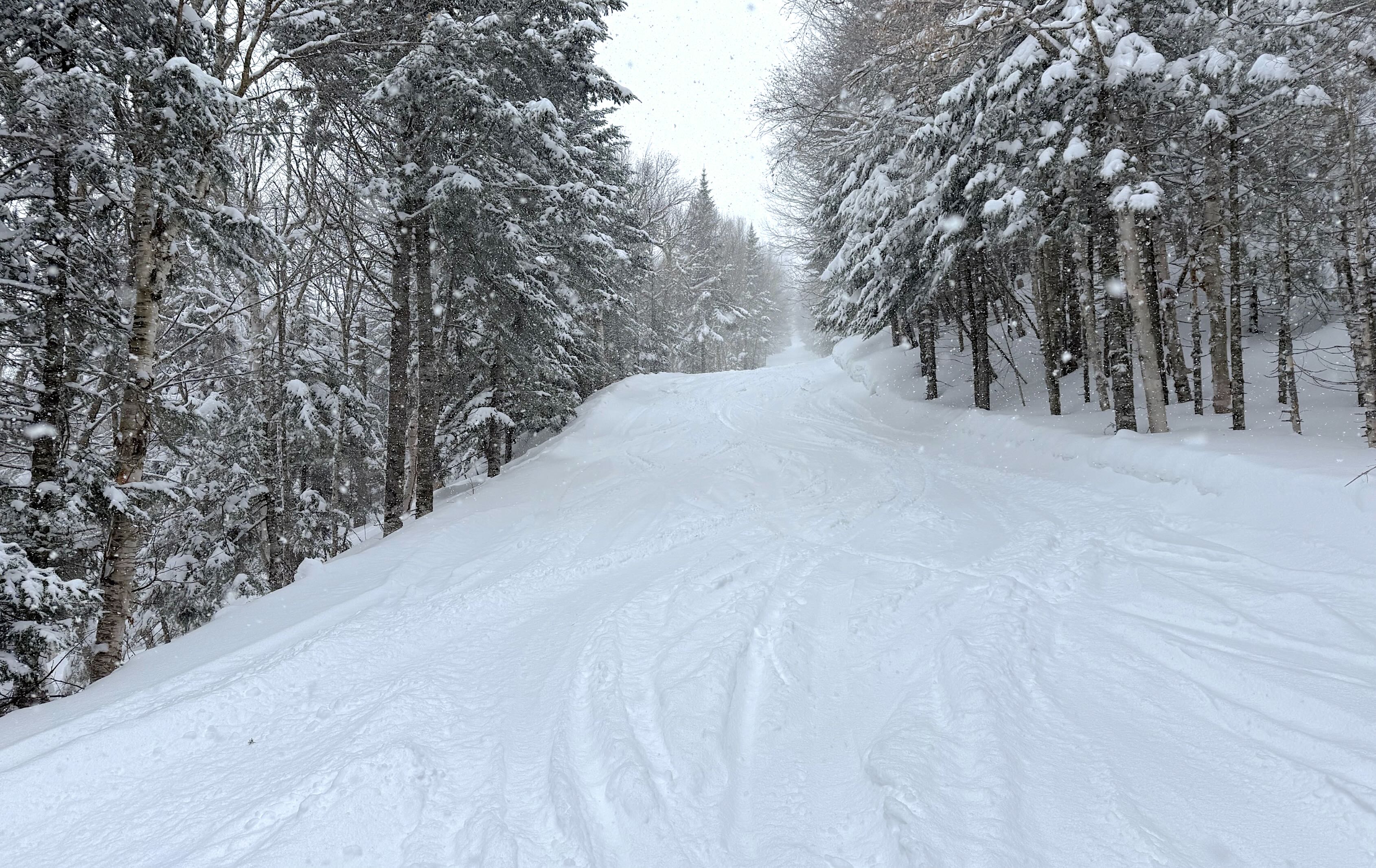 3.22.26.Nord.North.Marie.Claude.Asselin.Powder.Tracks.Over.Smooth.Groomed.Reset.c.jpg