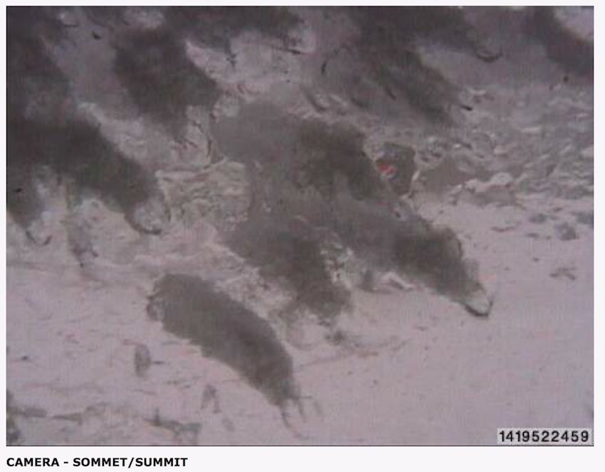 Web Cam Snap Shot Courtesy of Tremblant.ca