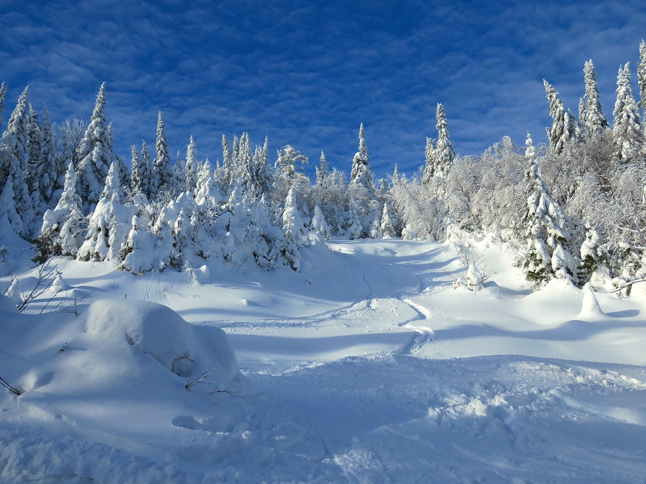 www.Tremblant360.com Photo. All rights reserved.