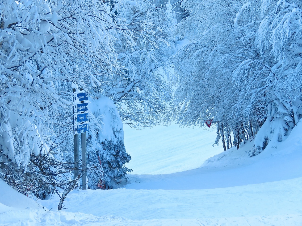 www.Tremblant360.com Photo. All rights reserved.