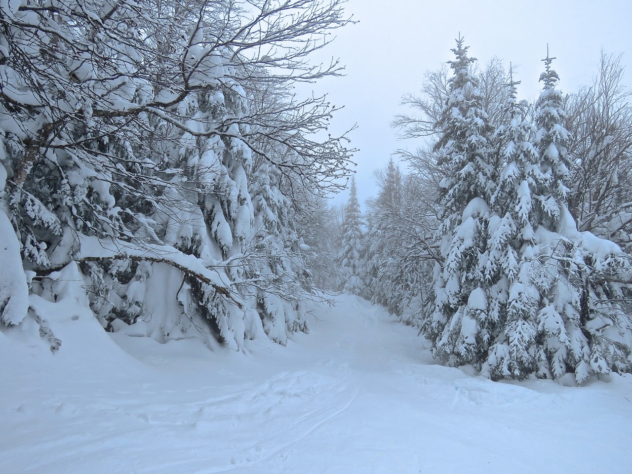 www.Tremblant360.com Photo. All rights reserved.