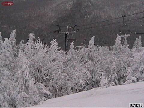 Looking from Summit over toward Duncan, the  graphic evidence of the SNOW in the trees should be more than enough to motivate you to get out !