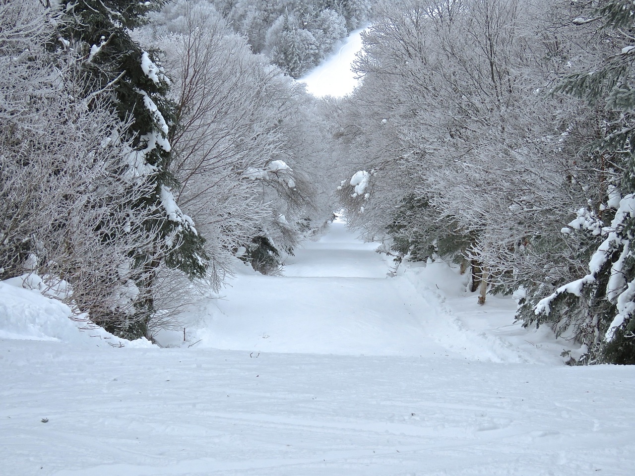 www.Tremblant360.com Photo. All rights reserved.