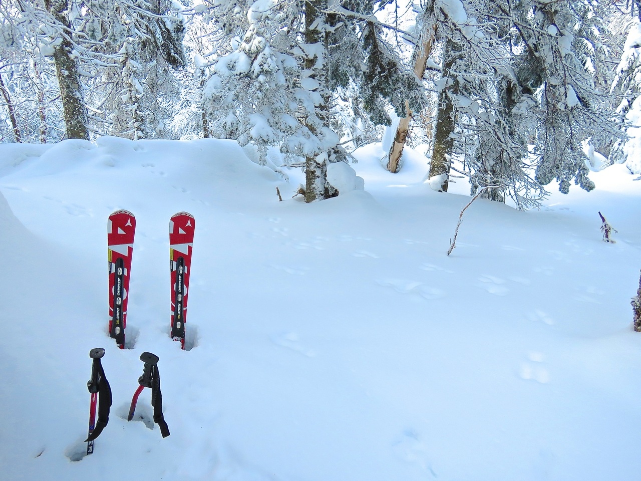 www.Tremblant360.com Photo. All rights reserved.