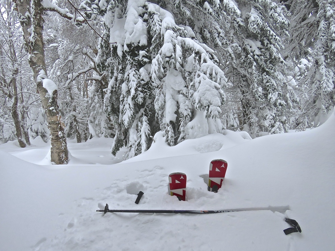 www.Tremblant360.com Photo. All rights reserved.