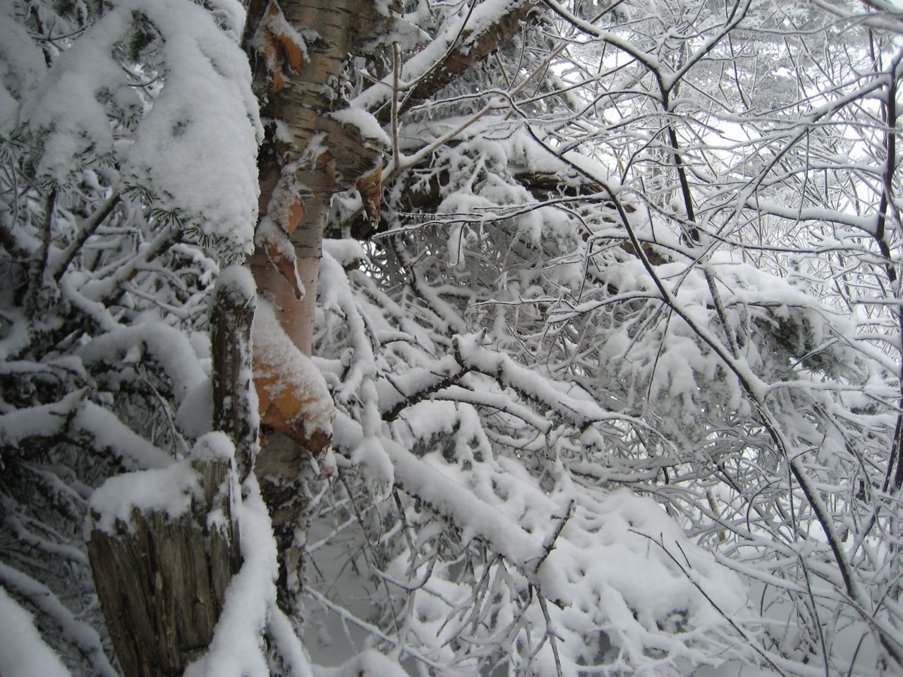 www.tremblant360.com photo. All rights reserved.