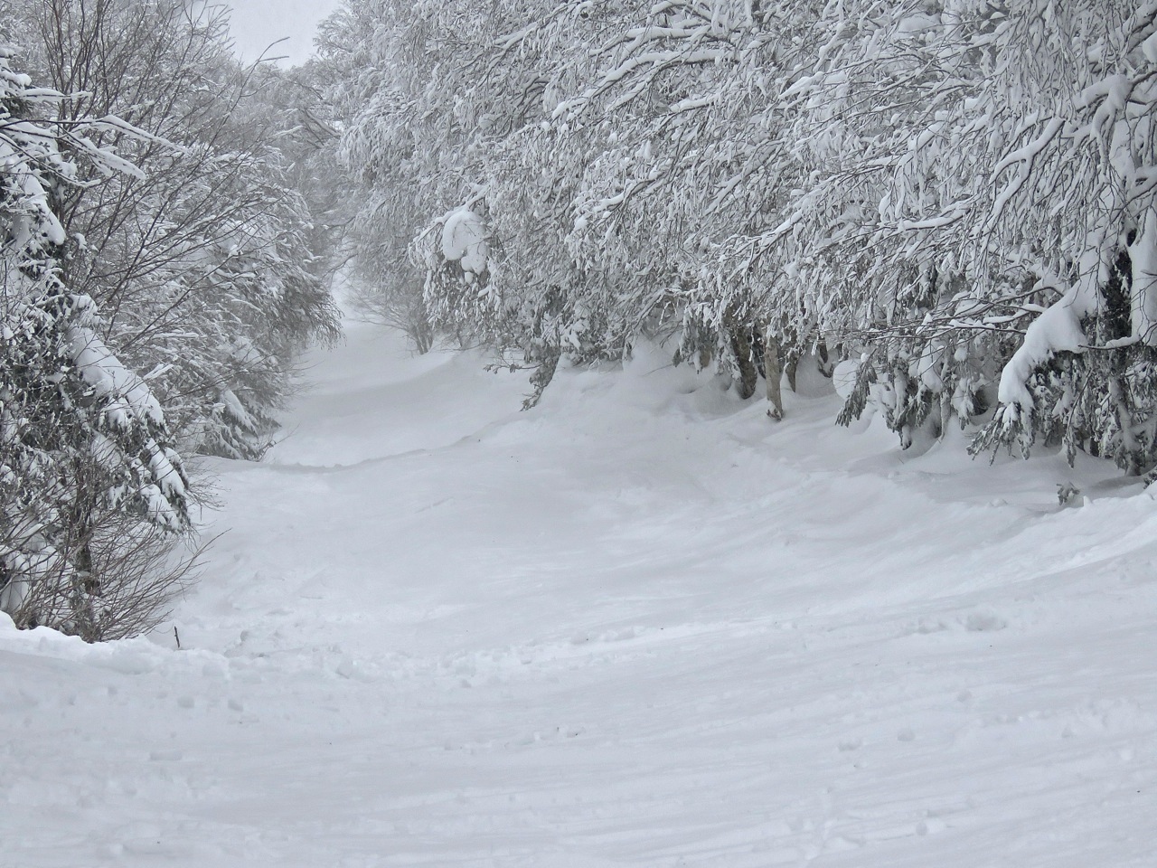 www.Tremblant360.com Photo. All rights reserved.