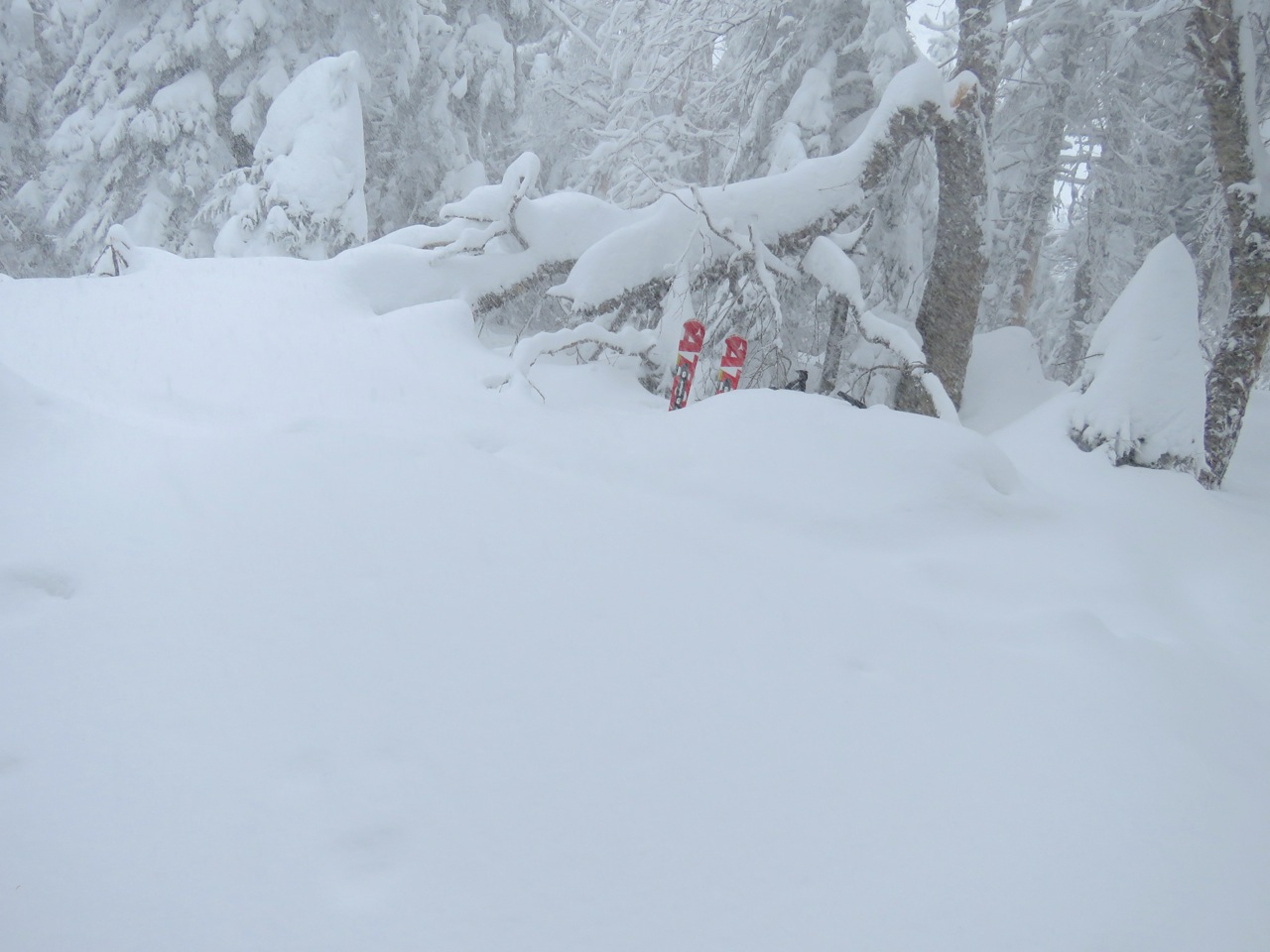 www.Tremblant360.com Photo. All rights reserved.