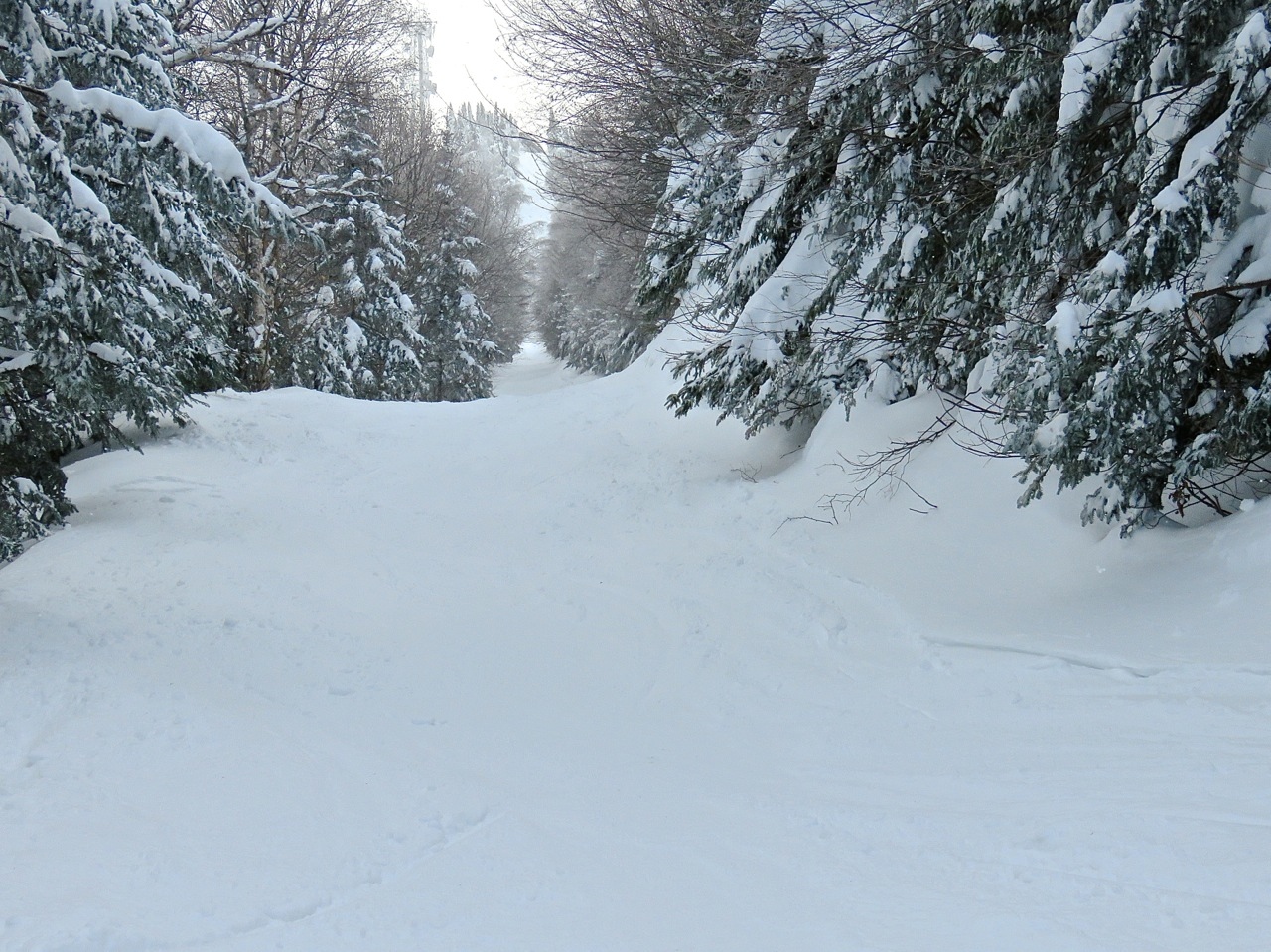 www.Tremblant360.com Photo. All rights reserved.
