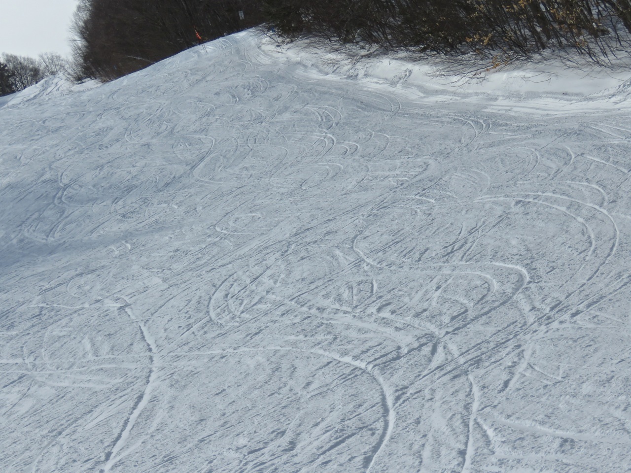 www.Tremblant360.com Photo. All rights reserved.
