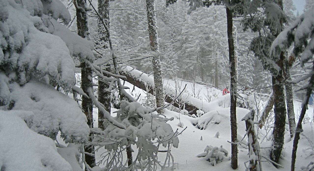 www.tremblant360.com photo. All rights reserved.