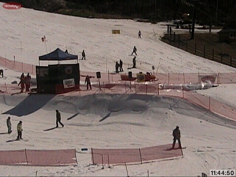 The Wild, Wet, Whacky Caribou Cup ... On Today!