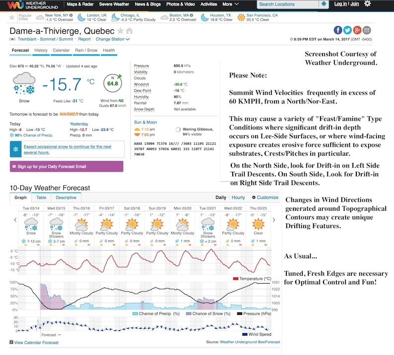 Screen Shot 2017-03-14 at 9.01.49 PM.jpg