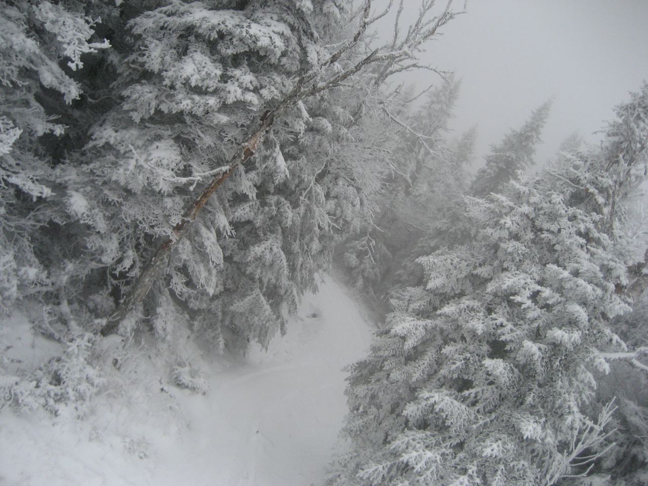 www.tremblant360.com photo. All rights reserved.