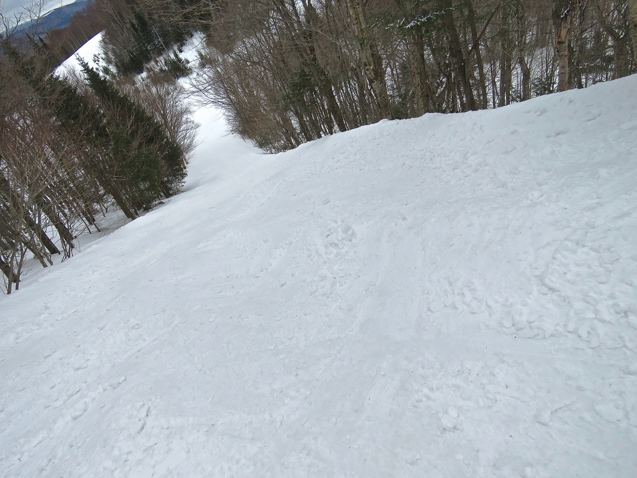 www.Tremblant360.com photo. All rights reserved.