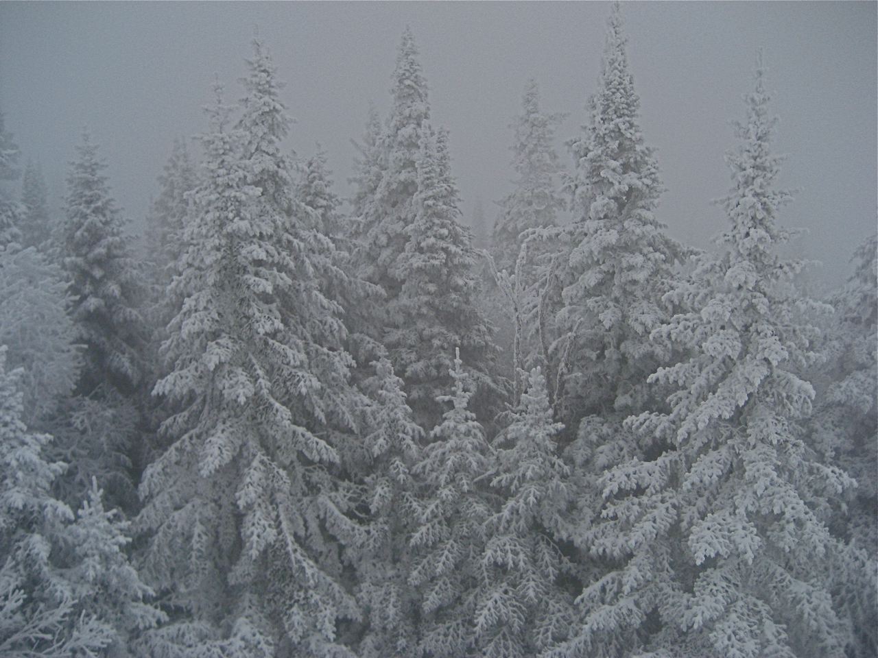 www.tremblant360.com photo. All rights reserved.